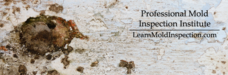 Professional Mold Inspection Institute